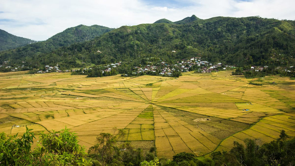 Ruteng is a small village famous for its Catholic Churches and unique rice fields | Hello Flores
