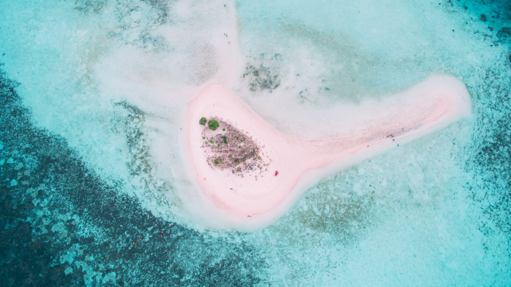 Visit Pulau Makassar to dive in Manta Point with hello Flores
