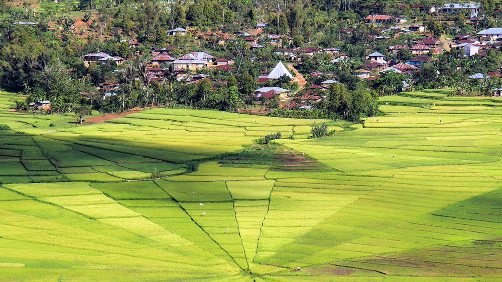 The unique rice fields is located just outside the town of Ruteng | Hello Flores