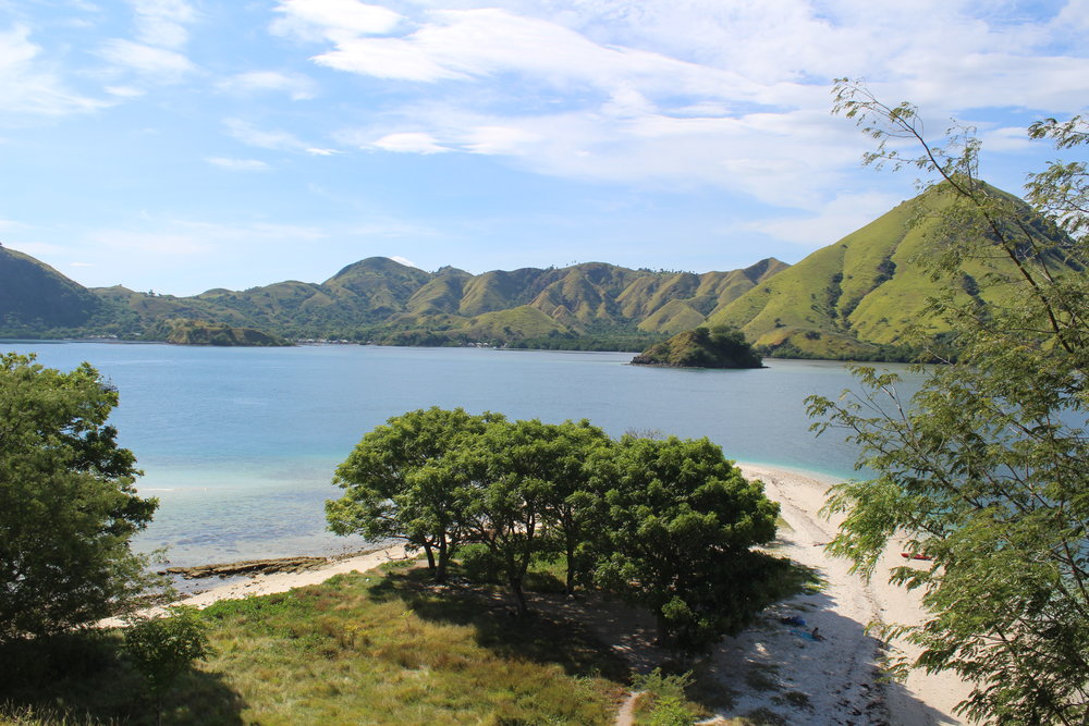 Kelor island is a home to many green trees and bushes | Hello flores
