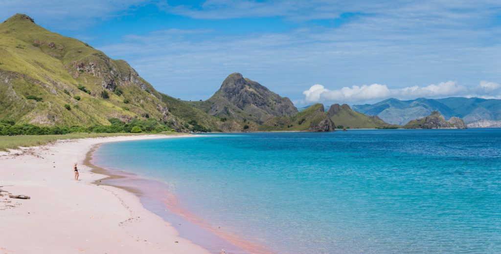 Pink beach - One of the best places to see during your adventure in the Komodo National Park | Hello Flores