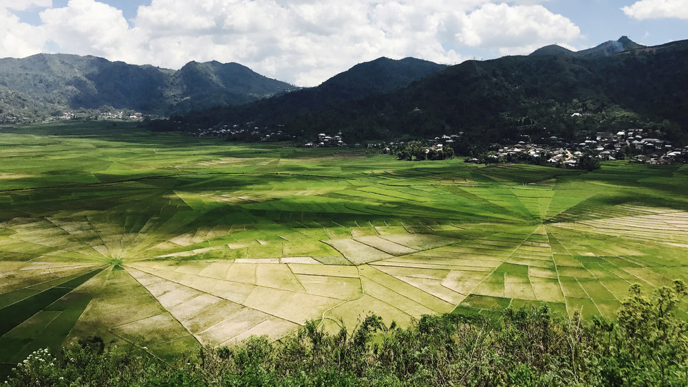 The famous spiderweb rice fields in Ruteng | Hello Flores