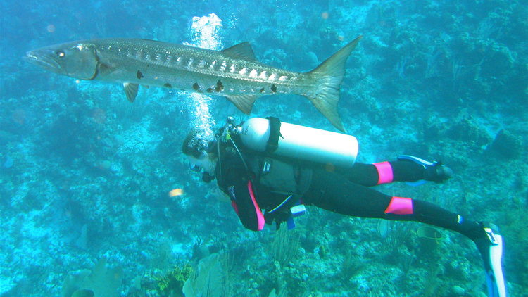 Batu Tiga: The corail garden