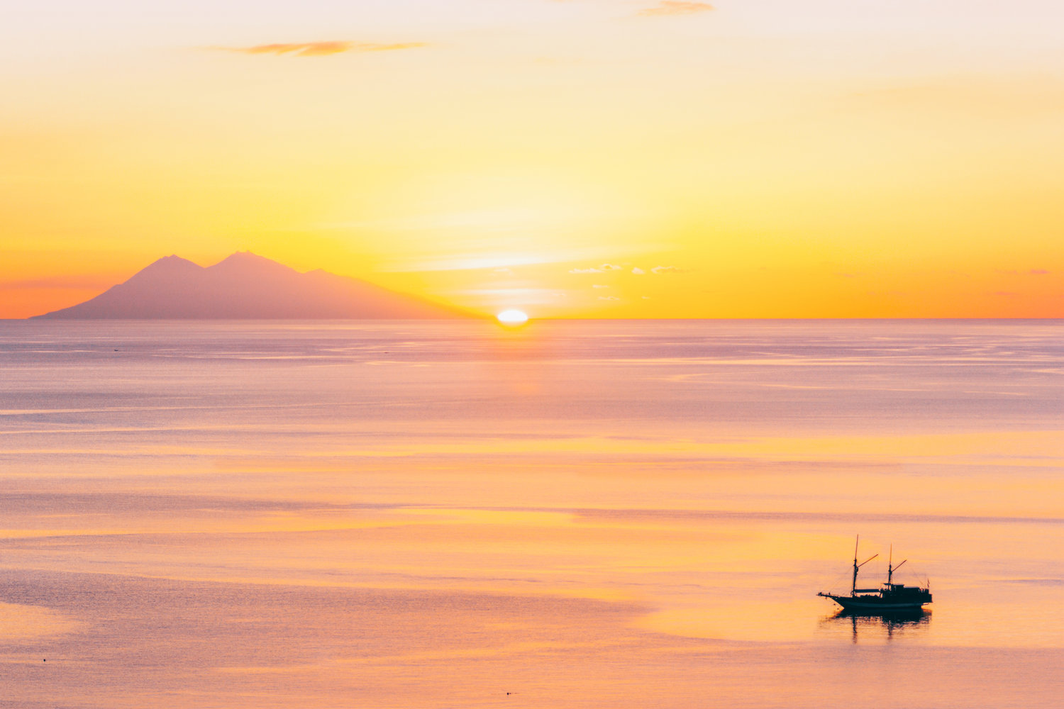 About+Hello+Flores Hello Flores