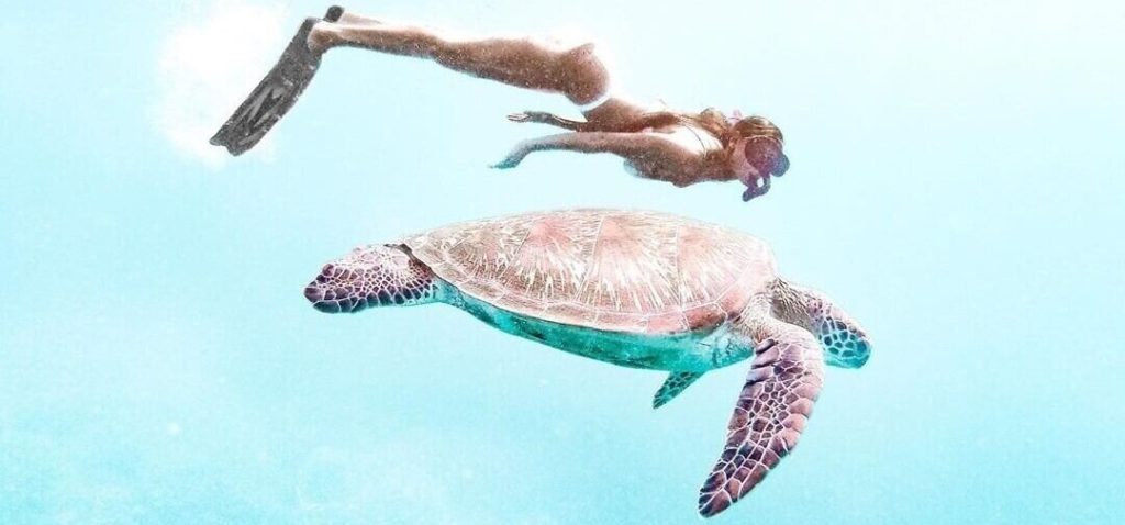 Snorkeling in the ocean with a giant turtle