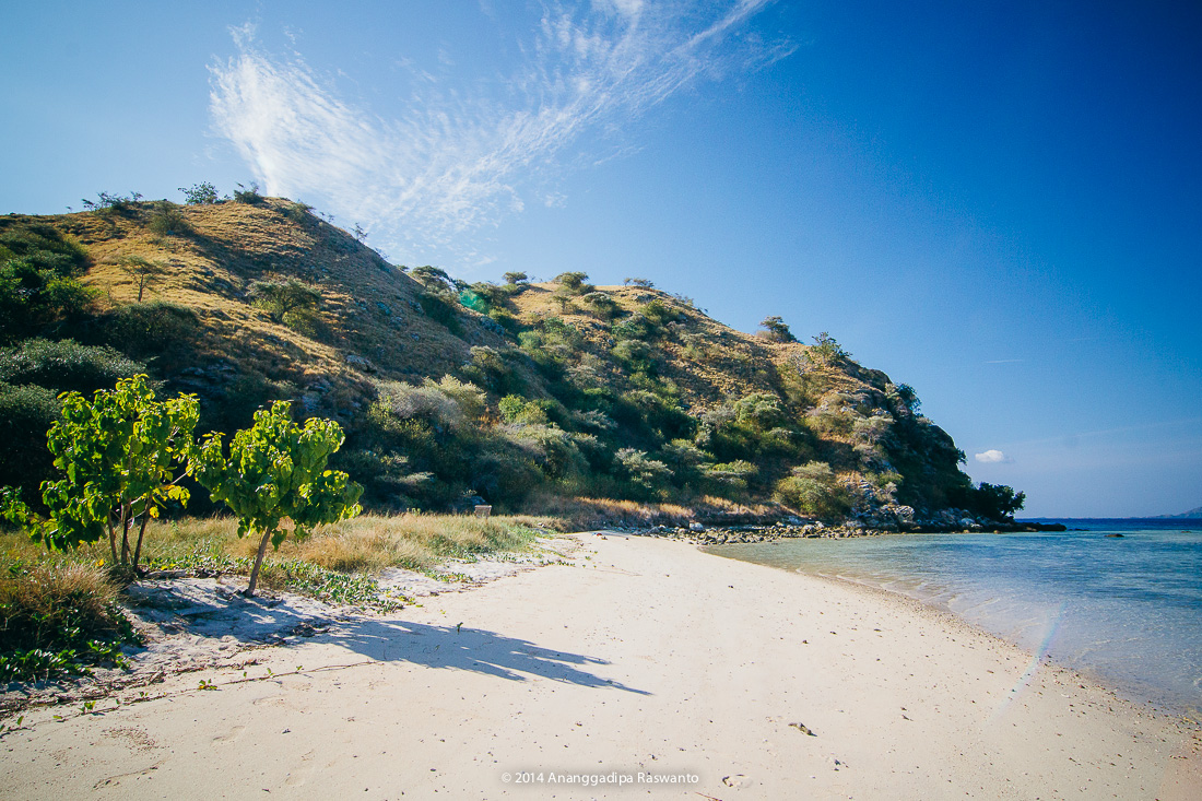 Five Not to Miss Snorkeling Destinations In Komodo Helo Flores