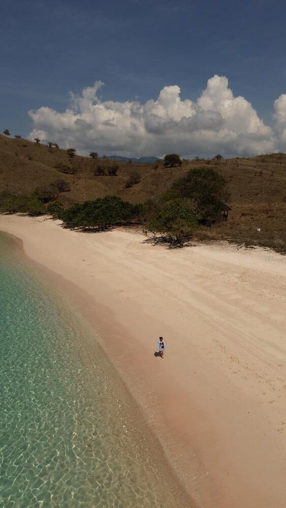 Exploring Komodo Beach with Elbark Cruise