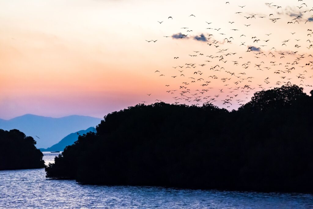 Best Sunset Spot in Komodo | Kalong Island