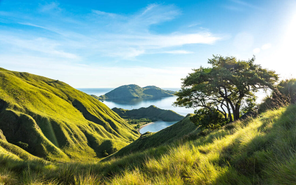 The Hiking Trail in Komodo | Gili Lawa Darat
