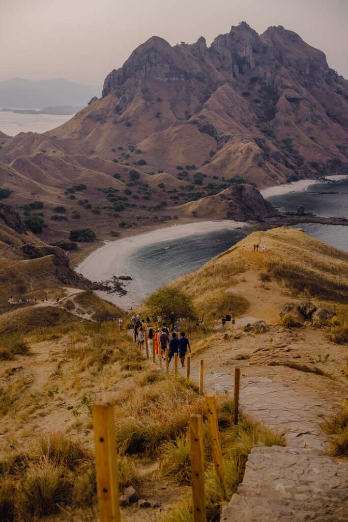 What's Makes Komodo Special? | Hello Flores