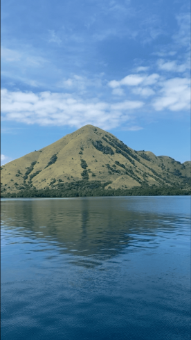 How Komodo Island Looks Like | Hello Flores
