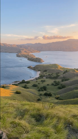 How Komodo Island Looks Like | Hello Flores