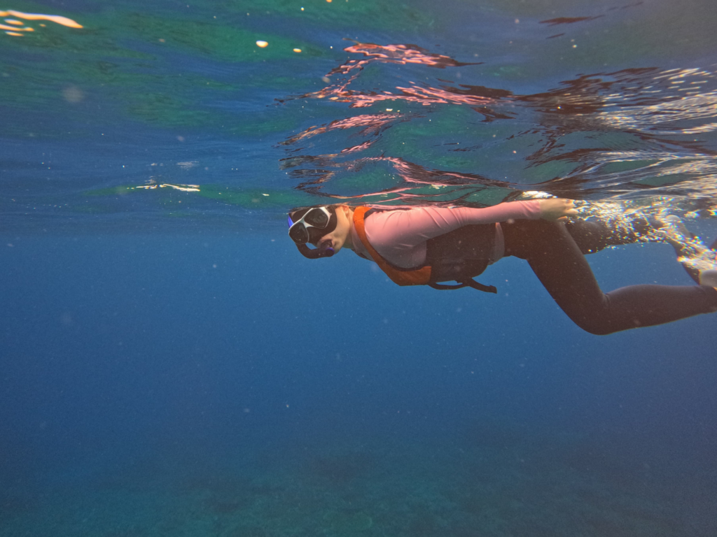 Snorkeling Manta Point | Hello Flores