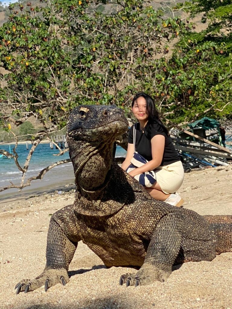 Komodo Island Excursion | Hello Flores