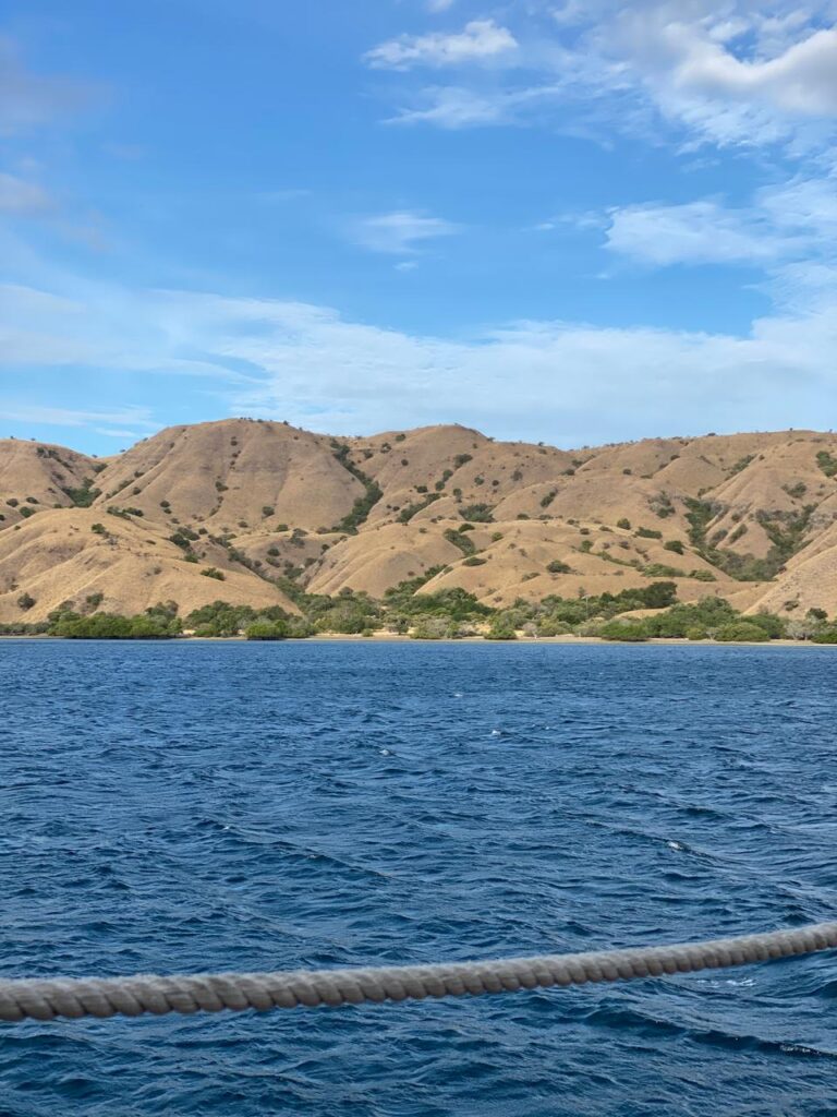 Komodo Island at Glance | Hello Flores