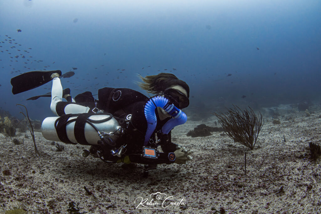 Audrey on Komodo Island Tour | Hello Flores