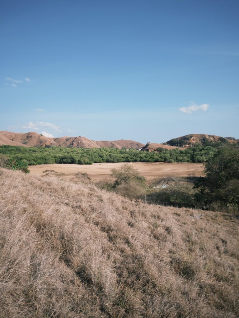 How Komodo Island Looks Like - The Real Picture From Aliikai Guest | Hello Flores