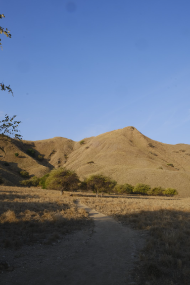 How Komodo Island Looks Like - The Real Picture From Aliikai Guest | Hello Flores