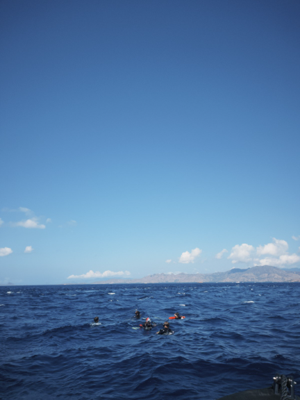Snorkeling in Manta Point | Hello Flores
