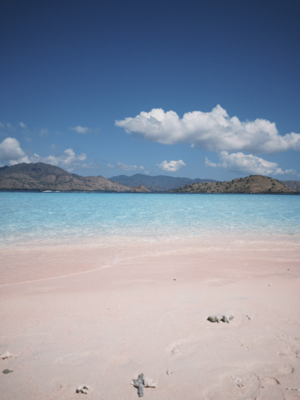 Taka Makassar Sandbar in Komodo Island | Hello Flores